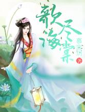 澳门天天彩期期精准平肖官场女人小说